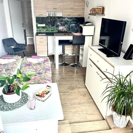 Karin Apartment Bled